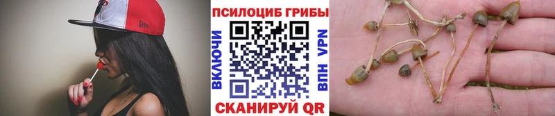 Псилоцибиновые грибы мицелий  Ермолино 