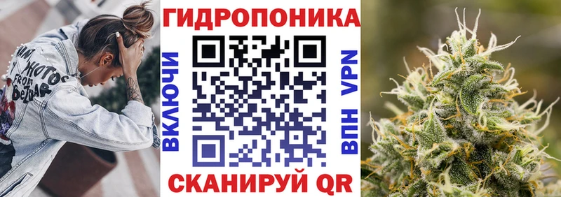 блэк спрут зеркало  цены наркотик  Ермолино  Бошки Шишки планчик 